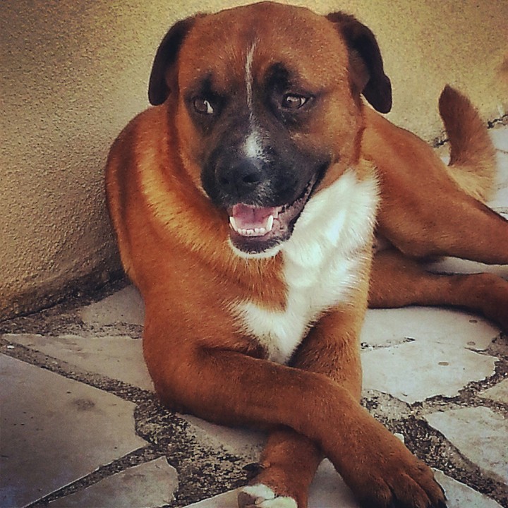 billy