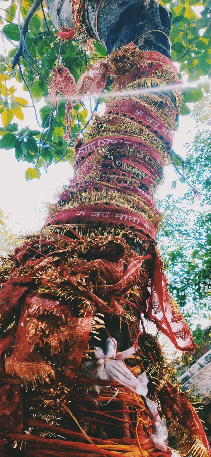 jay mata di