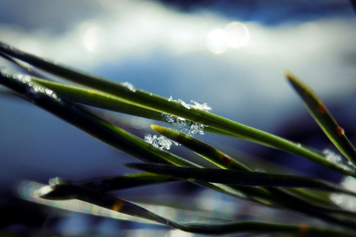 snowflake