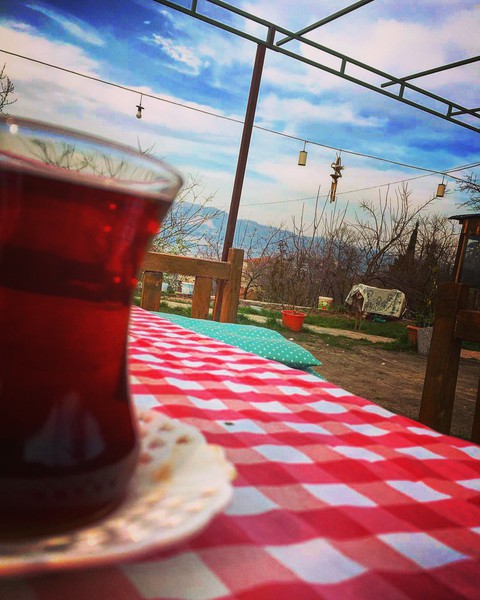 bir demli çay