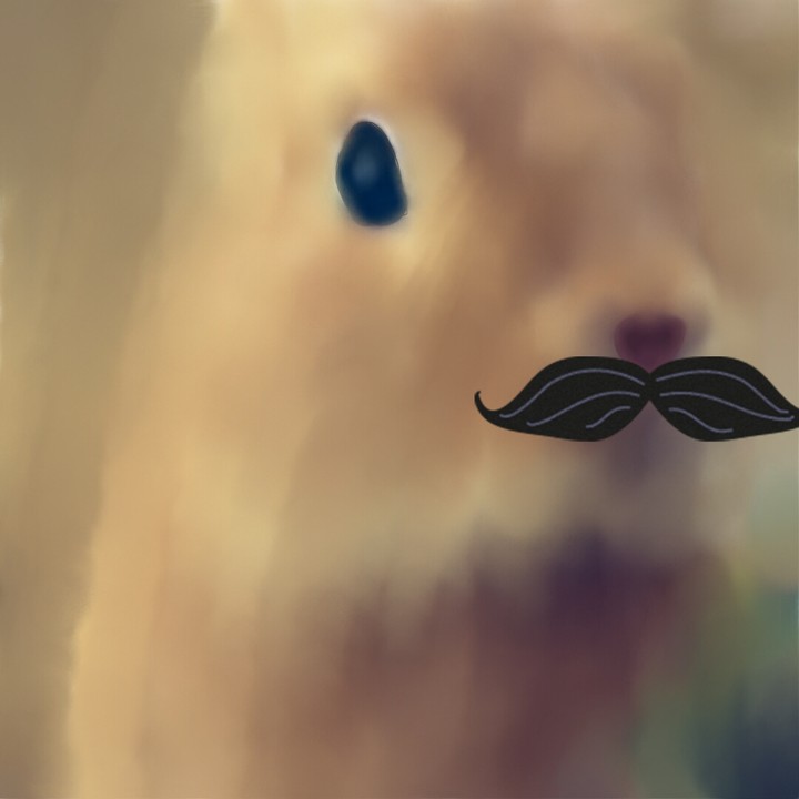 Cute Animal bunny