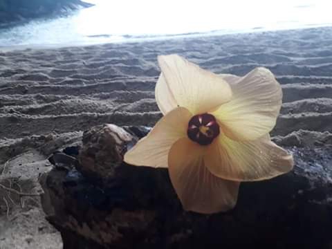 mar