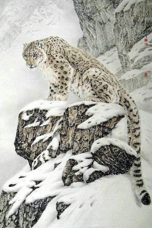 Schnee Leopard