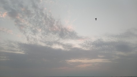 sky
