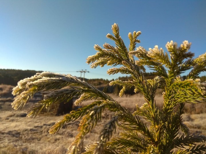 winter morning