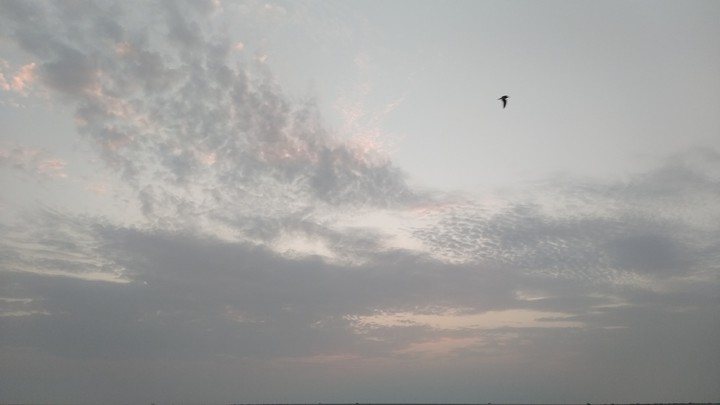 sky
