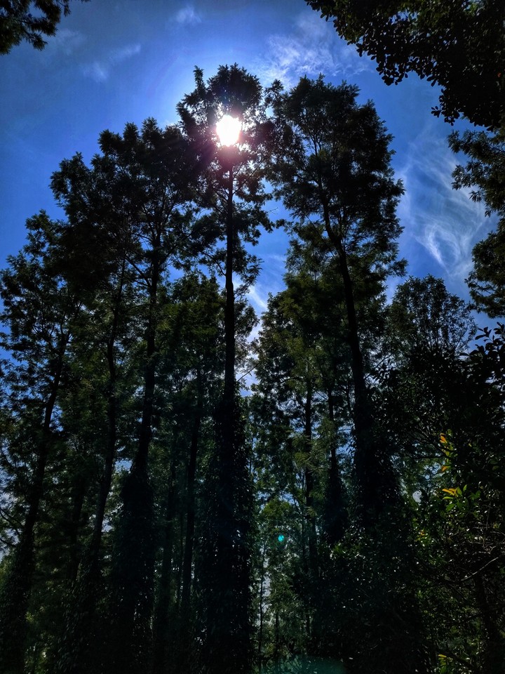 Reach for the sky, that's your ladder