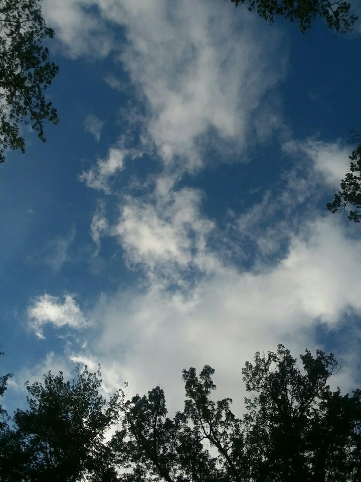 Sky