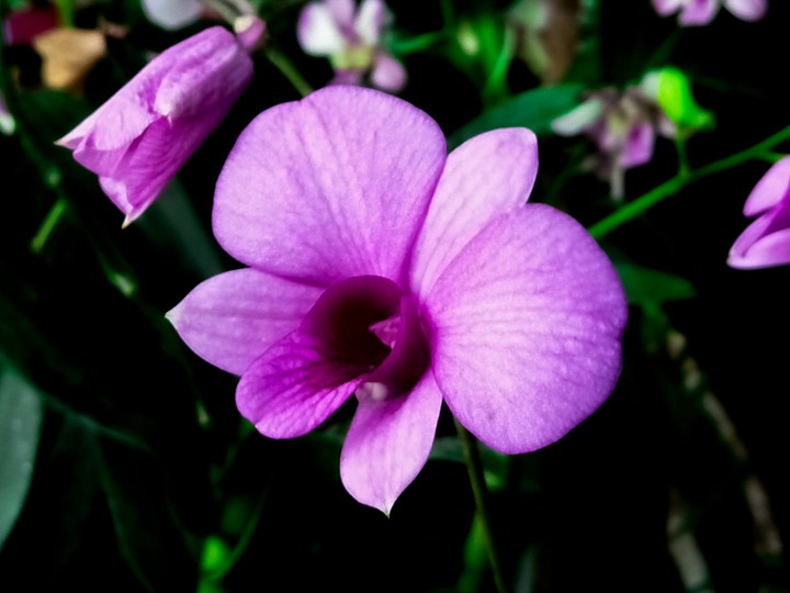 beauty of nature