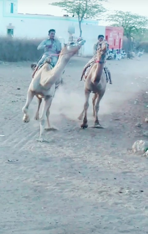 race 4?