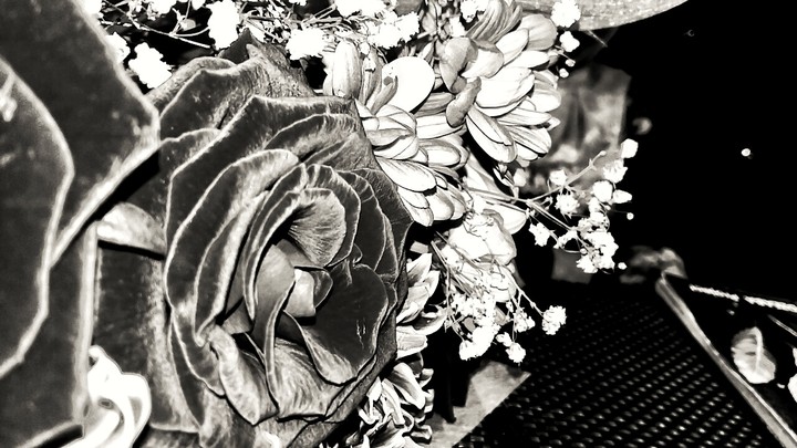 Roses