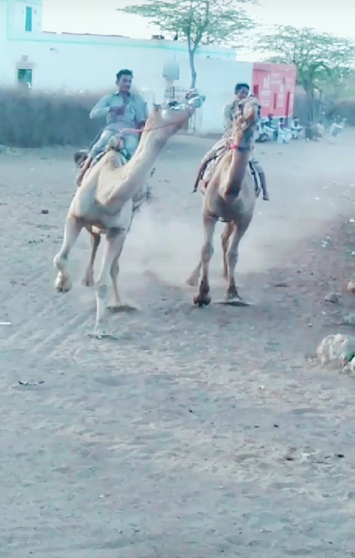 race 4?