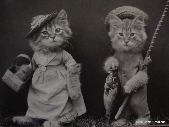 Gatitos
