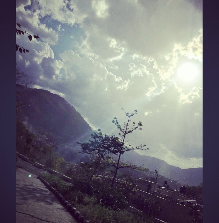 Sunny Day ❤☀️