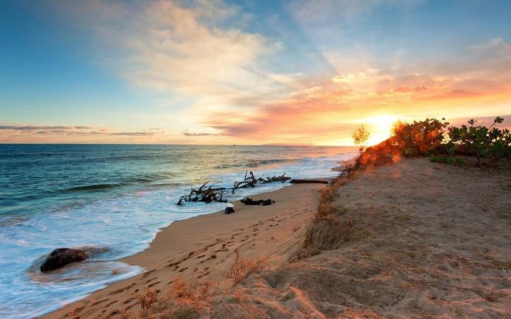paradise