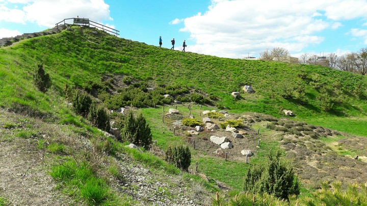 Botanic garden