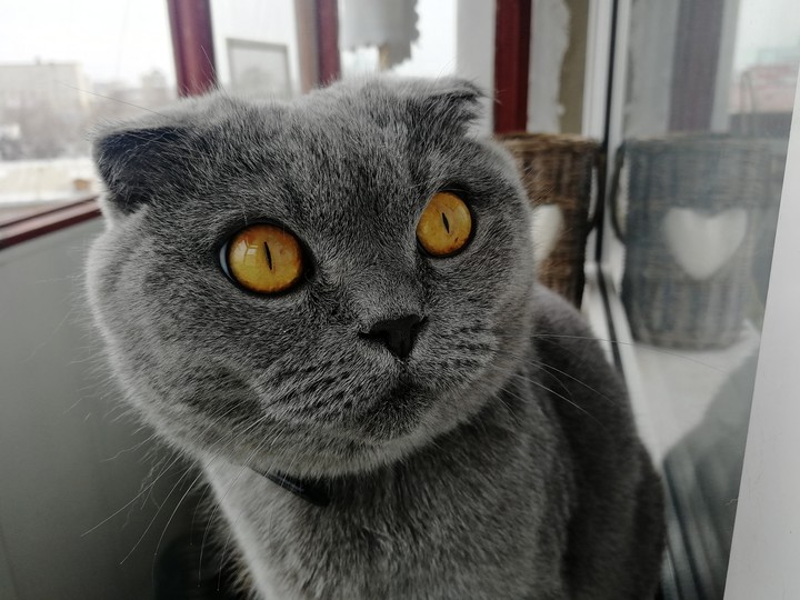 красавчик