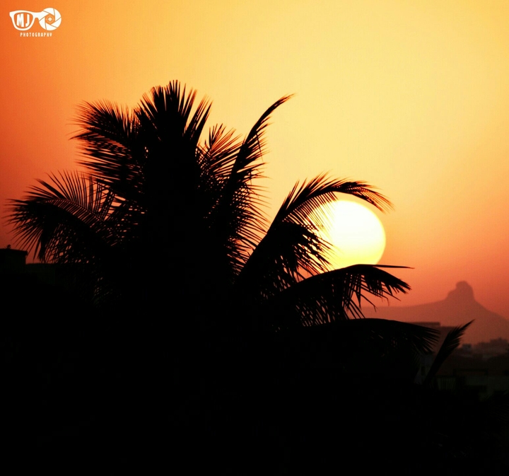mj photography