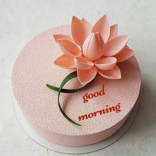 Good Morning