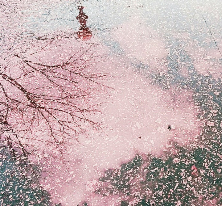 reflection