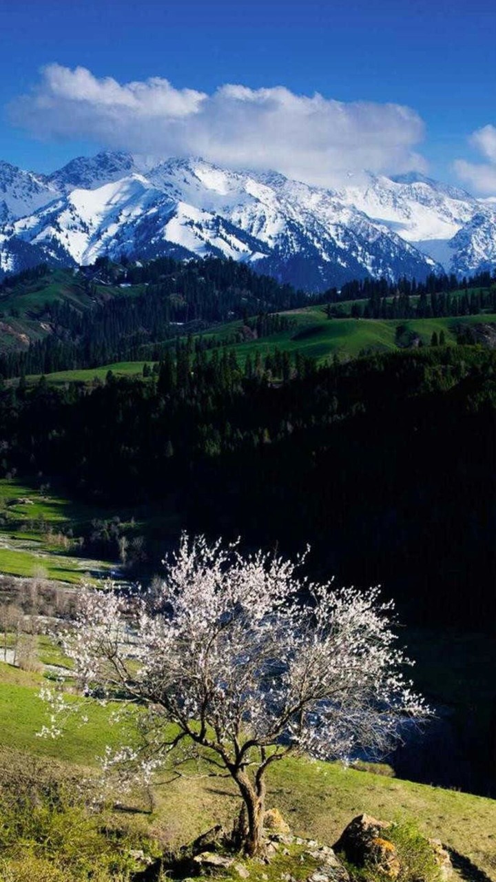 nature