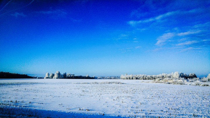 blue winter