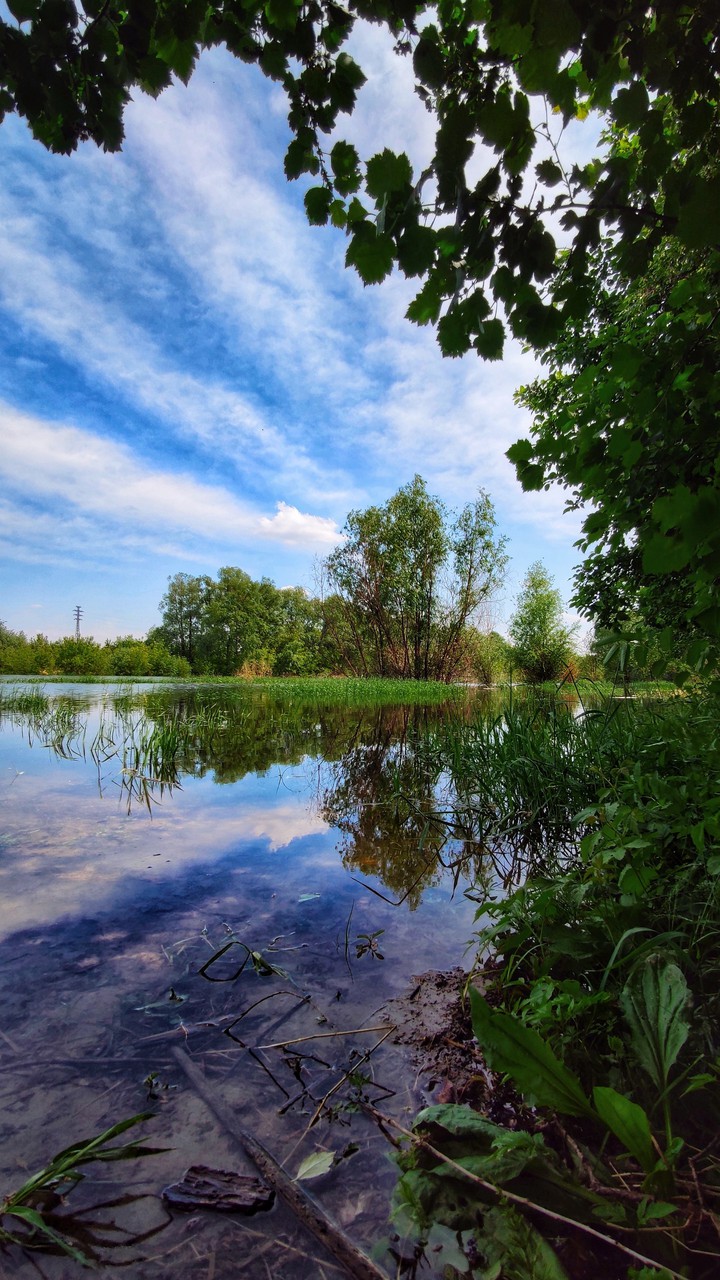 Nature