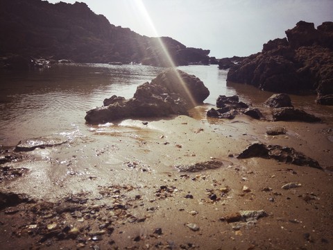 fonds d'écran sunshine, algeria