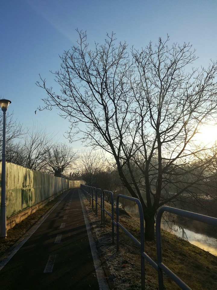 #autumn #nature