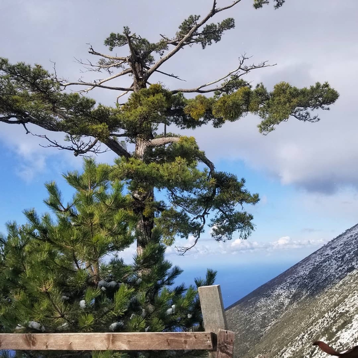 albania