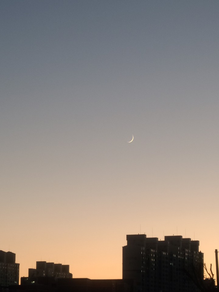 달moon