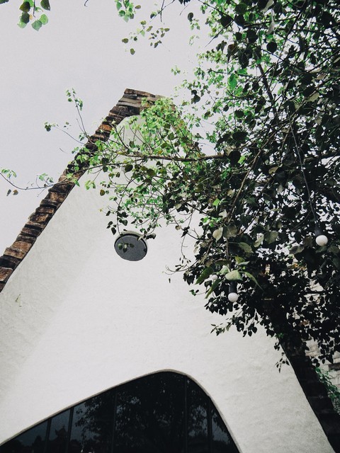 sfondi rectangle, branch