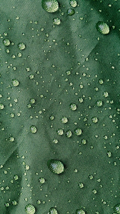 pequeñas gotas del Rocío