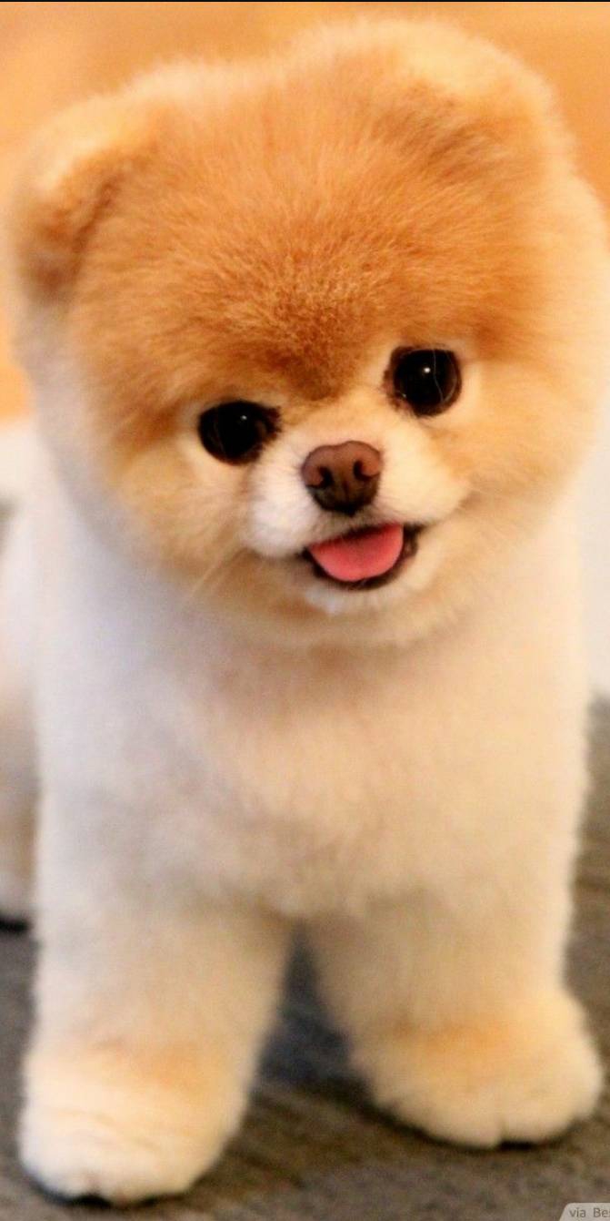 ?