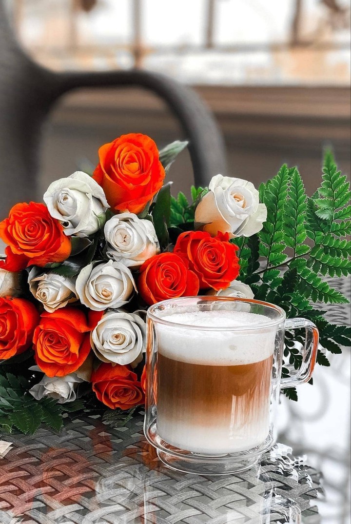 cafe