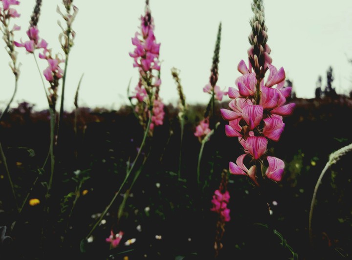 The end of the summer