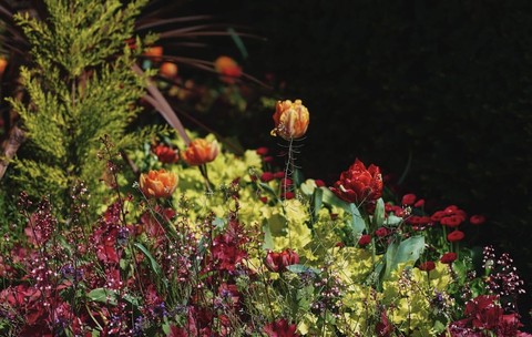 landscapes, plant wallpapers