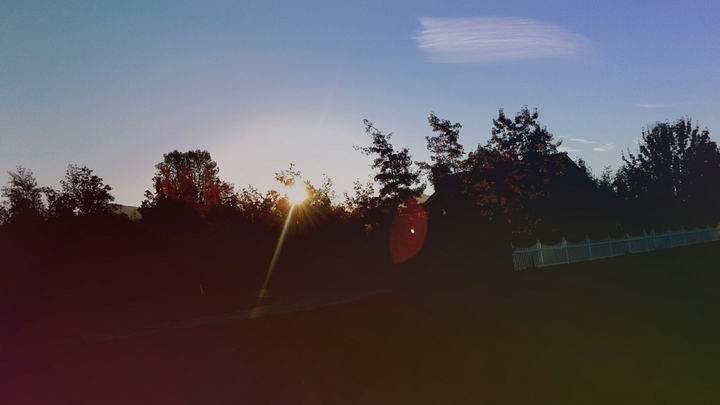 Morning sun