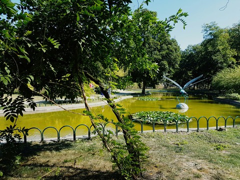 park
