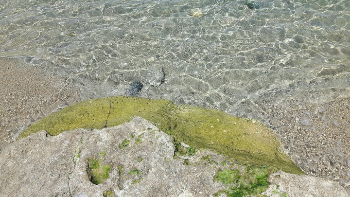 sea