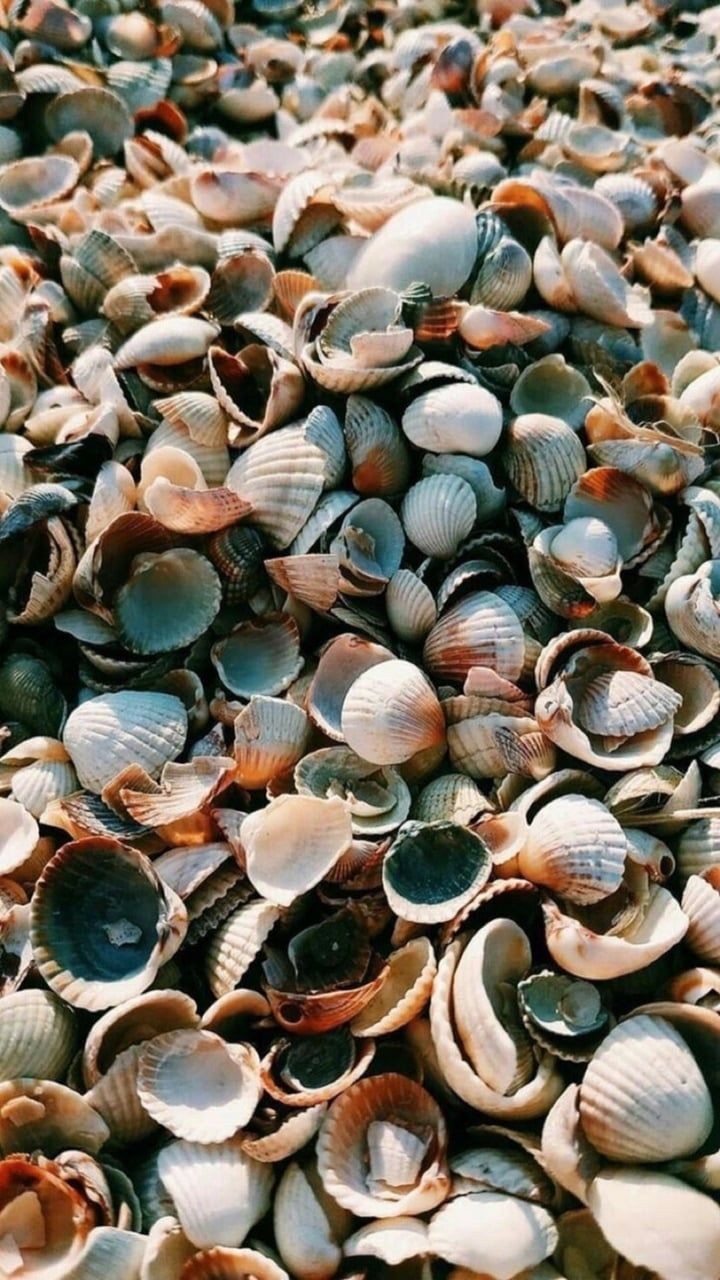 Beautiful wallpaper