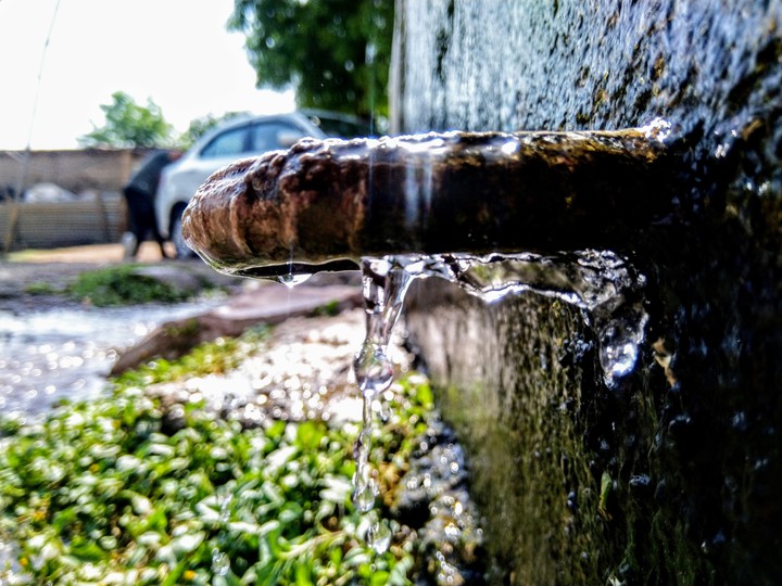 few drops of life