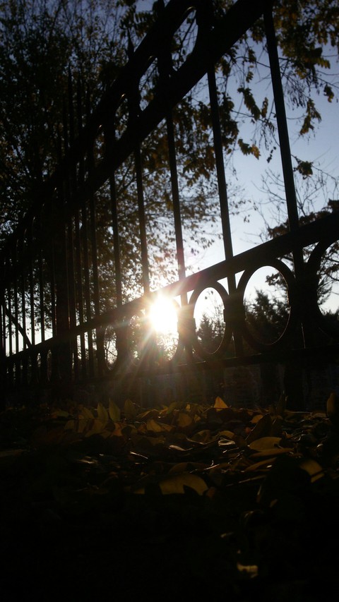 sakinlik