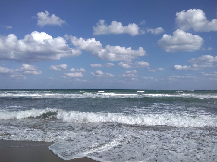 Sea