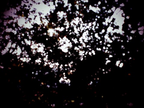 blurry wonderness
