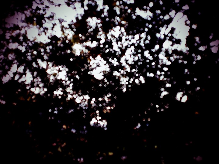 blurry wonderness