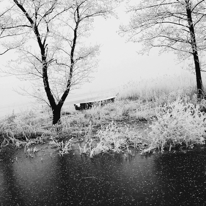 #zima#winter#cold