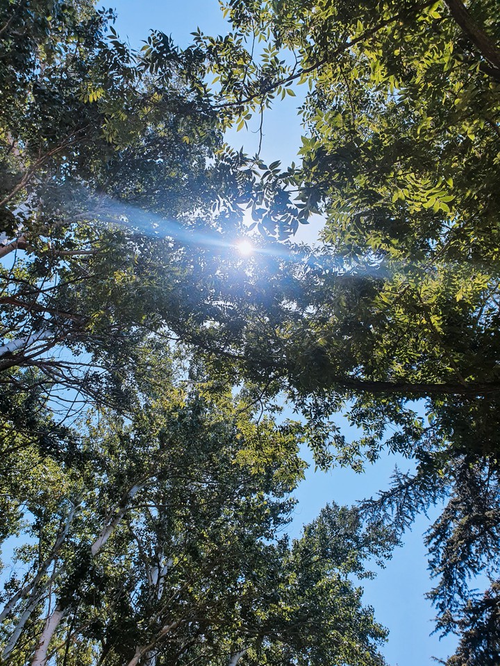 sun