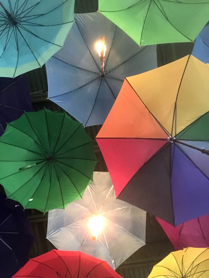 Umbrella