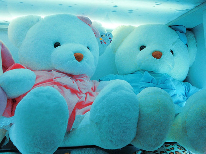 Blue teddies